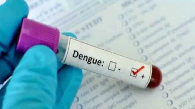 dengue-in-delhi-city-registers-two-deaths-surge-in-cases-reported-at-lok-nayak-safdarjung-hospital